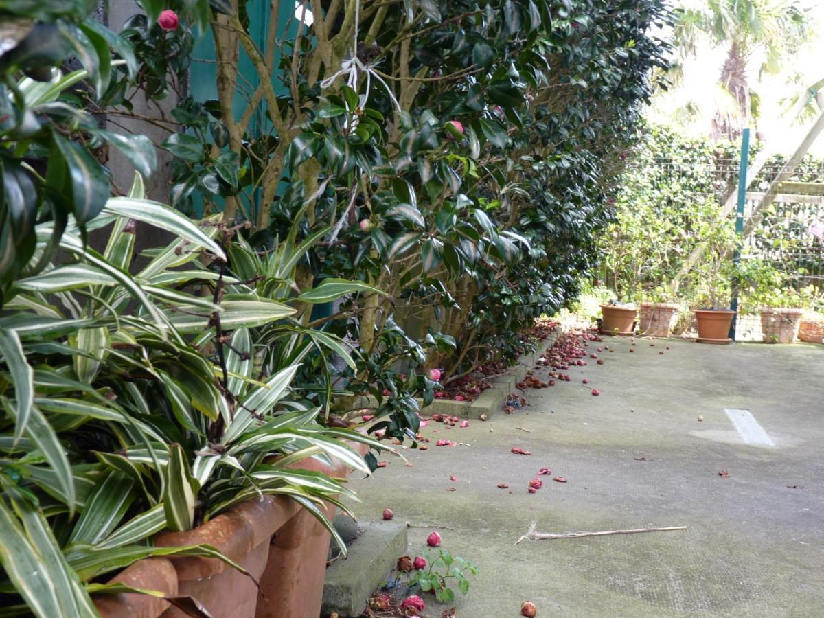 Azores Holidays House -B&B - Suites - Self Check-In Keyboard ポンタ・デルガダ エクステリア 写真