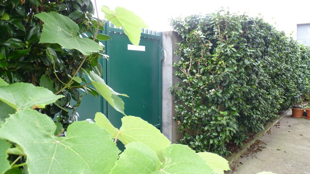 Azores Holidays House -B&B - Suites - Self Check-In Keyboard ポンタ・デルガダ エクステリア 写真